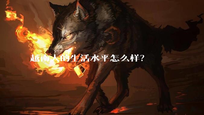 越南人的生活水平怎么样？